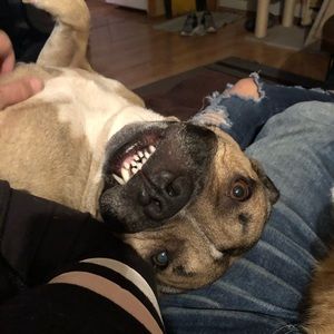 Meet your Posher, Elizabeth